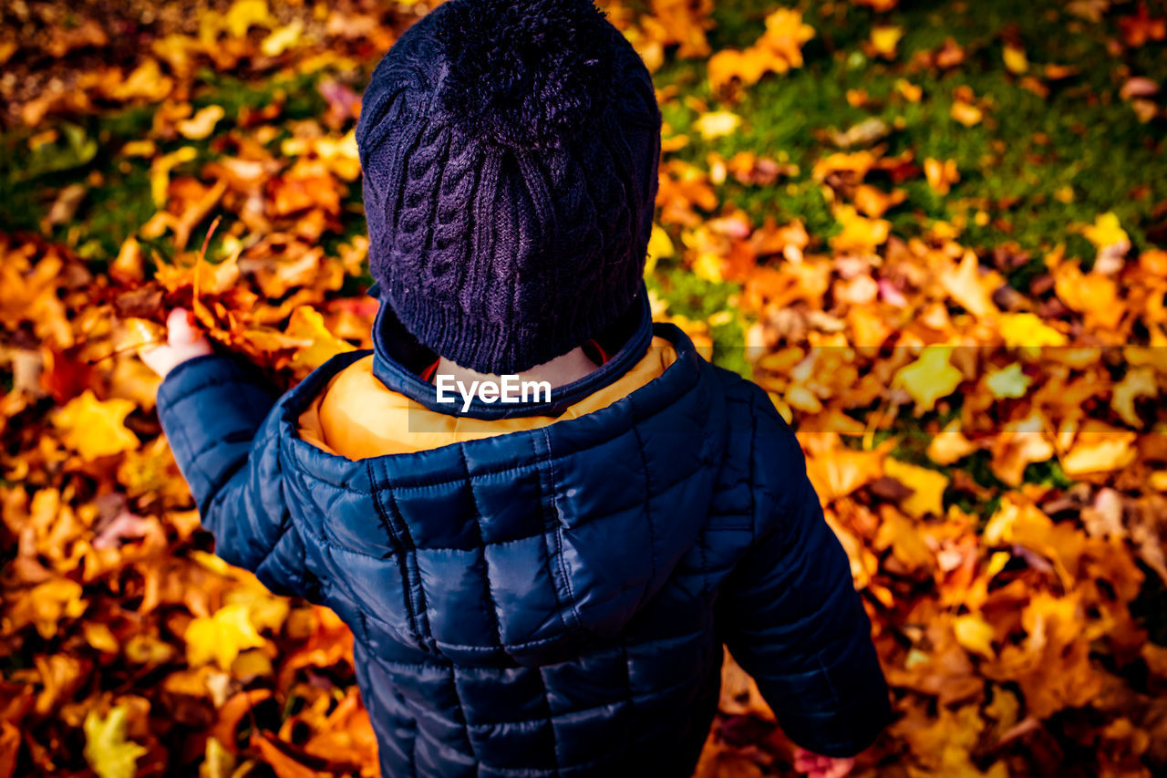 High angle view of boy on autumn leaves