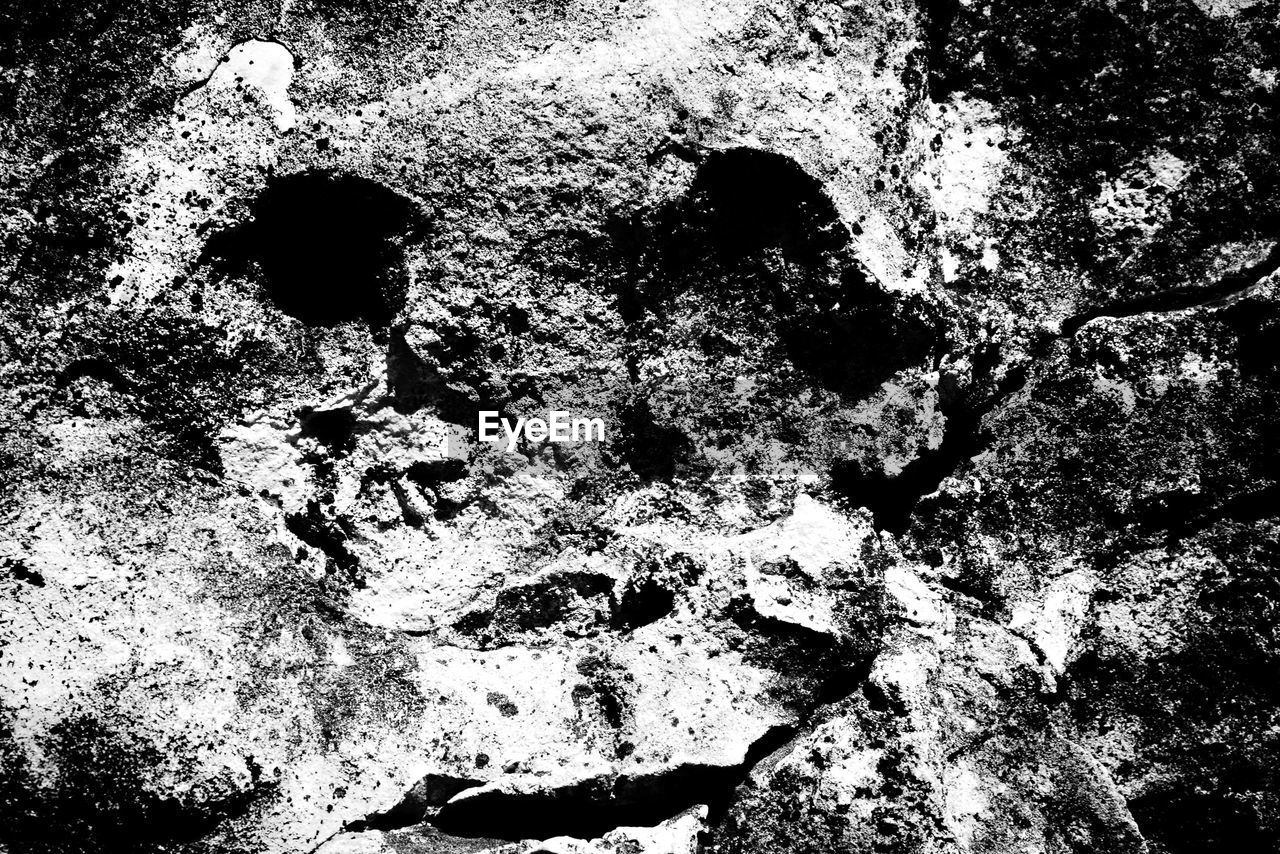 FULL FRAME SHOT OF LEAF