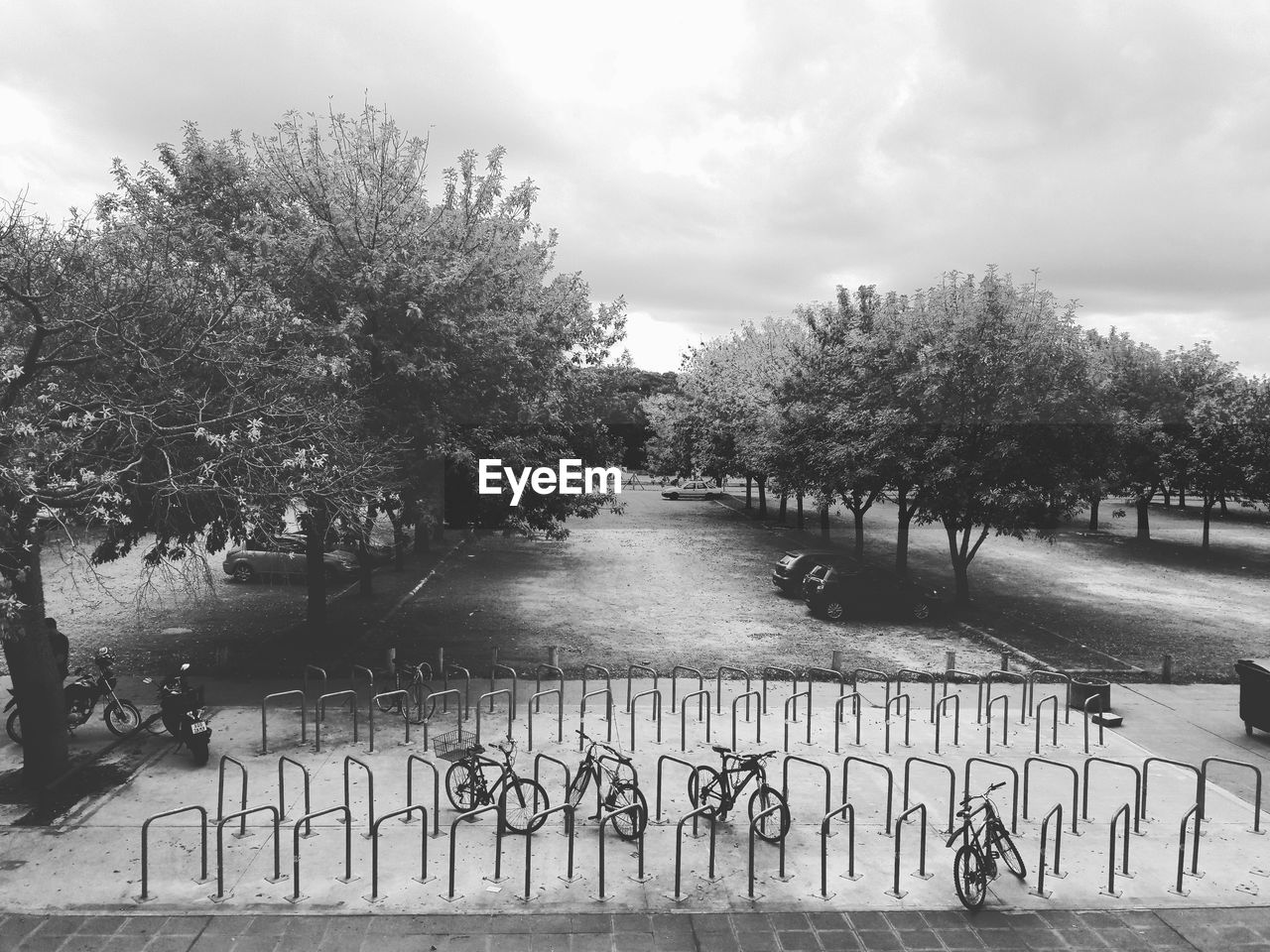 TREES ON RIVERBANK AGAINST SKY