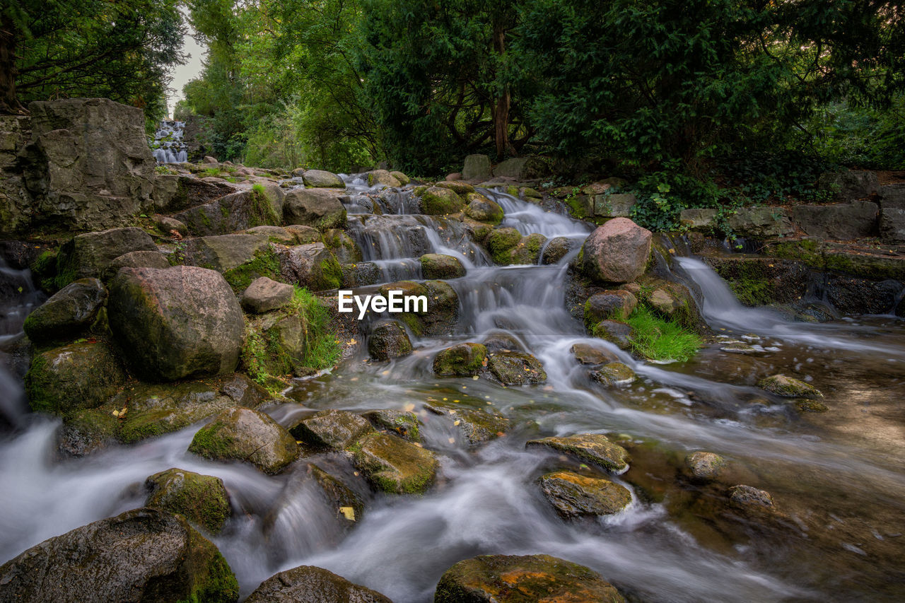 water, beauty in nature, stream, body of water, plant, tree, watercourse, nature, river, scenics - nature, rock, forest, land, motion, autumn, creek, flowing water, rapid, environment, water feature, waterfall, wilderness, no people, long exposure, outdoors, leaf, non-urban scene, landscape, flowing, tranquility, woodland, growth, day, blurred motion, tranquil scene, wet, idyllic