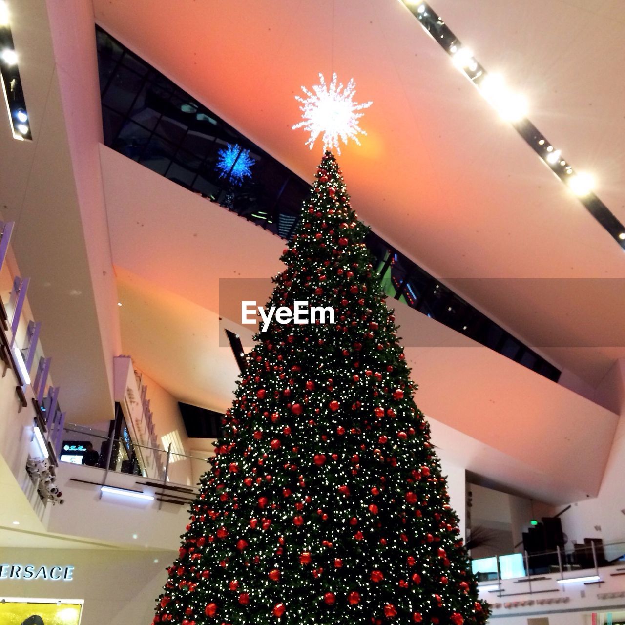 LOW ANGLE VIEW OF ILLUMINATED CHRISTMAS TREE