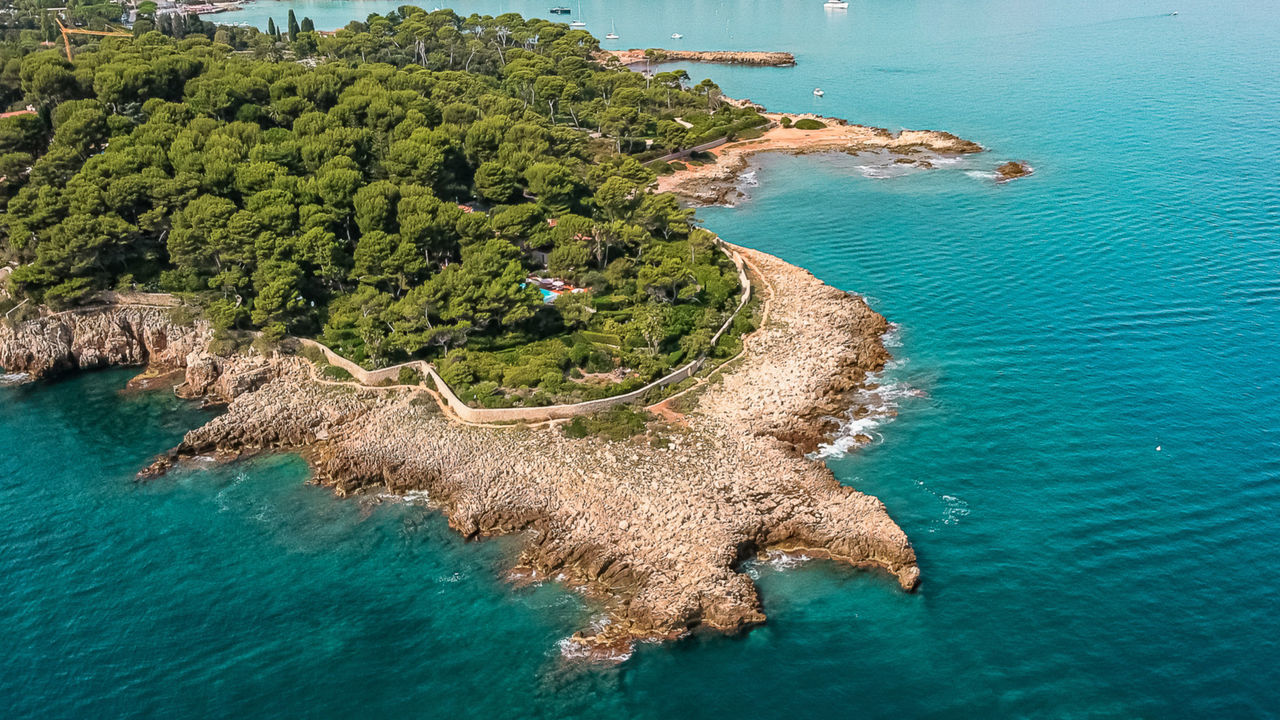 HIGH ANGLE VIEW OF TREES ON SEA