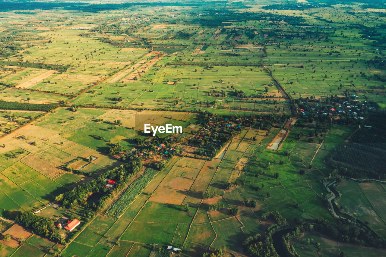 HIGH ANGLE VIEW OF AGRICULTURAL LANDSCAPE