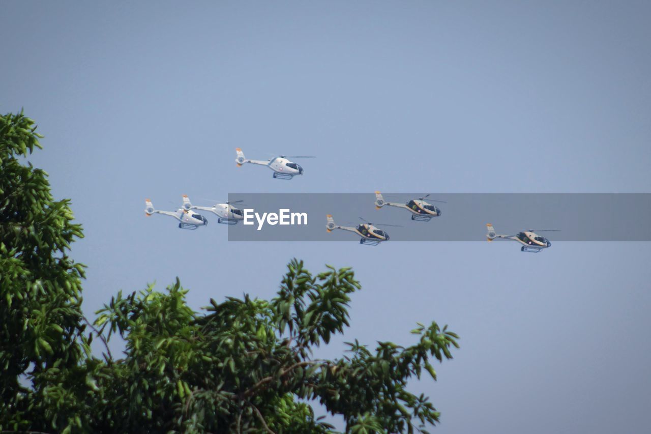 LOW ANGLE VIEW OF BIRDS FLYING AGAINST THE SKY