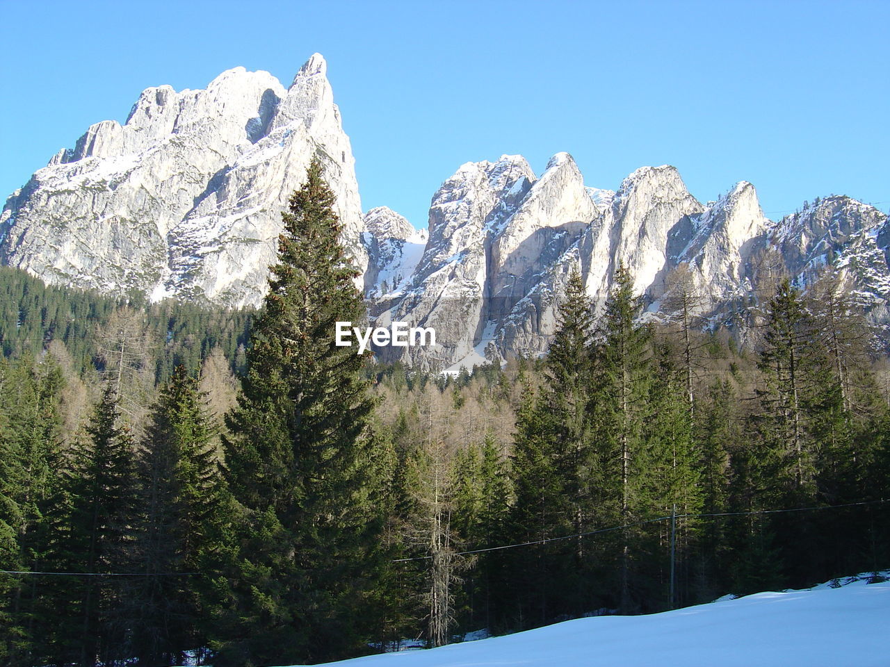 Low angle view of snow covered trees against clear blue sky