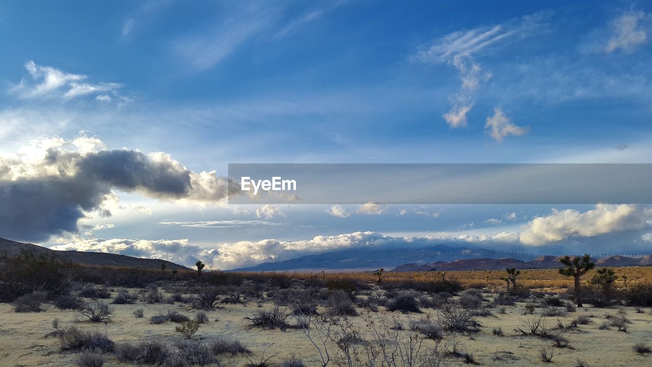 LANDSCAPE AGAINST SKY