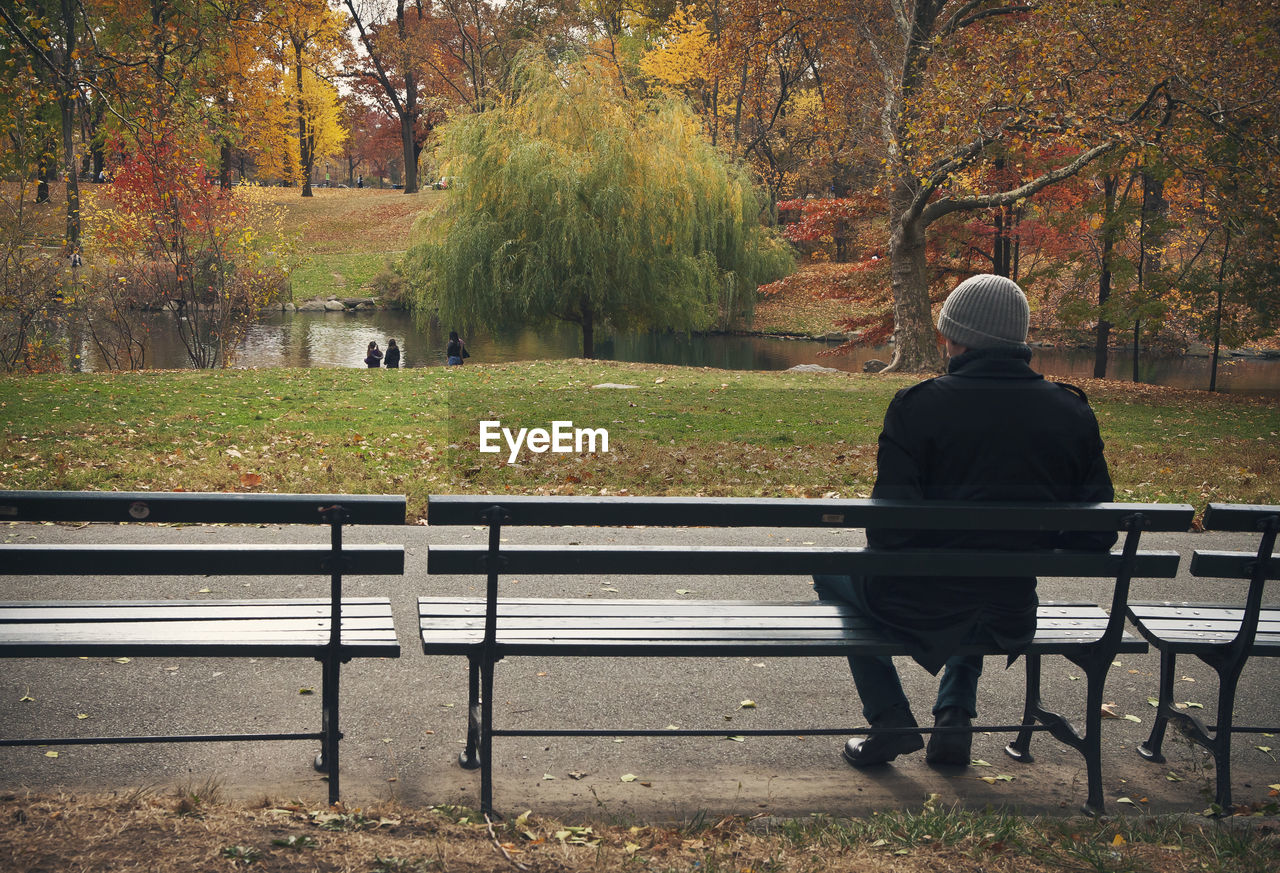 Rear view of man sitting on bench at park during autumn