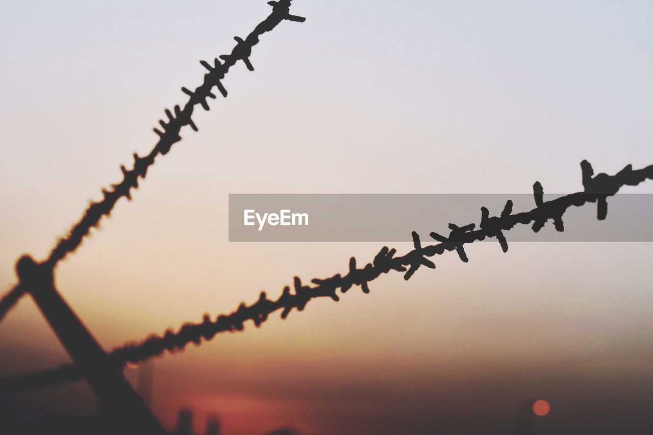 Low angle view of silhouette barb wires against clear sky during sunset