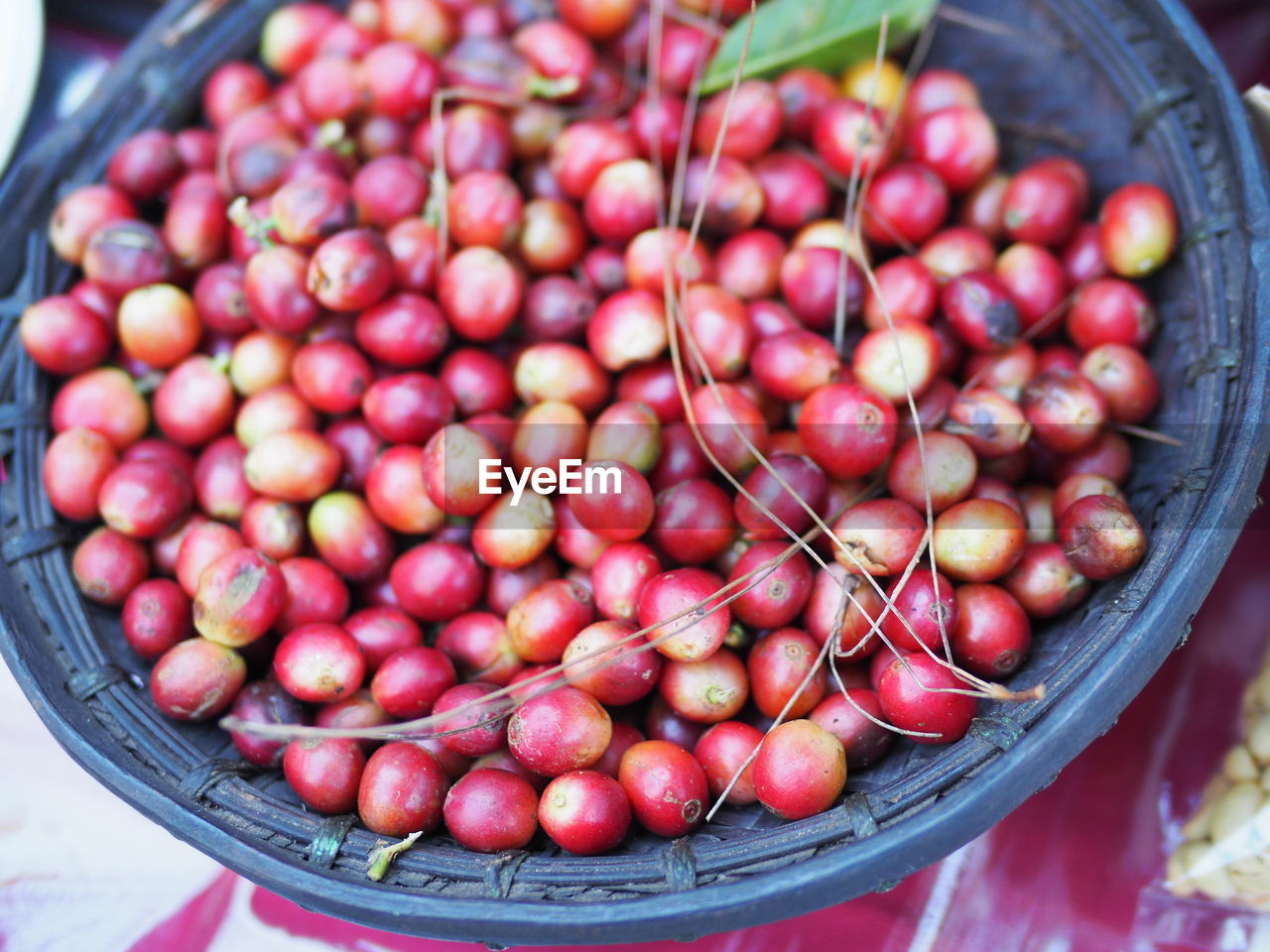 CLOSE-UP OF FRUITS IN MARKET