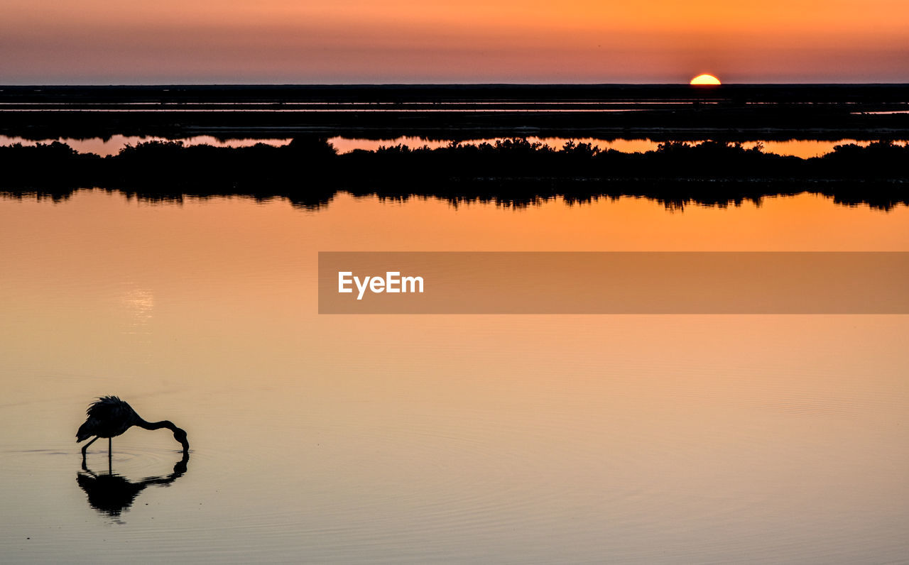 SCENIC VIEW OF LAKE AGAINST ORANGE SKY