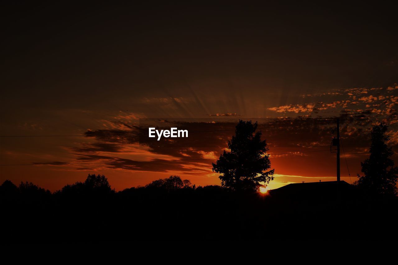 Silhouette trees against sky during sunset