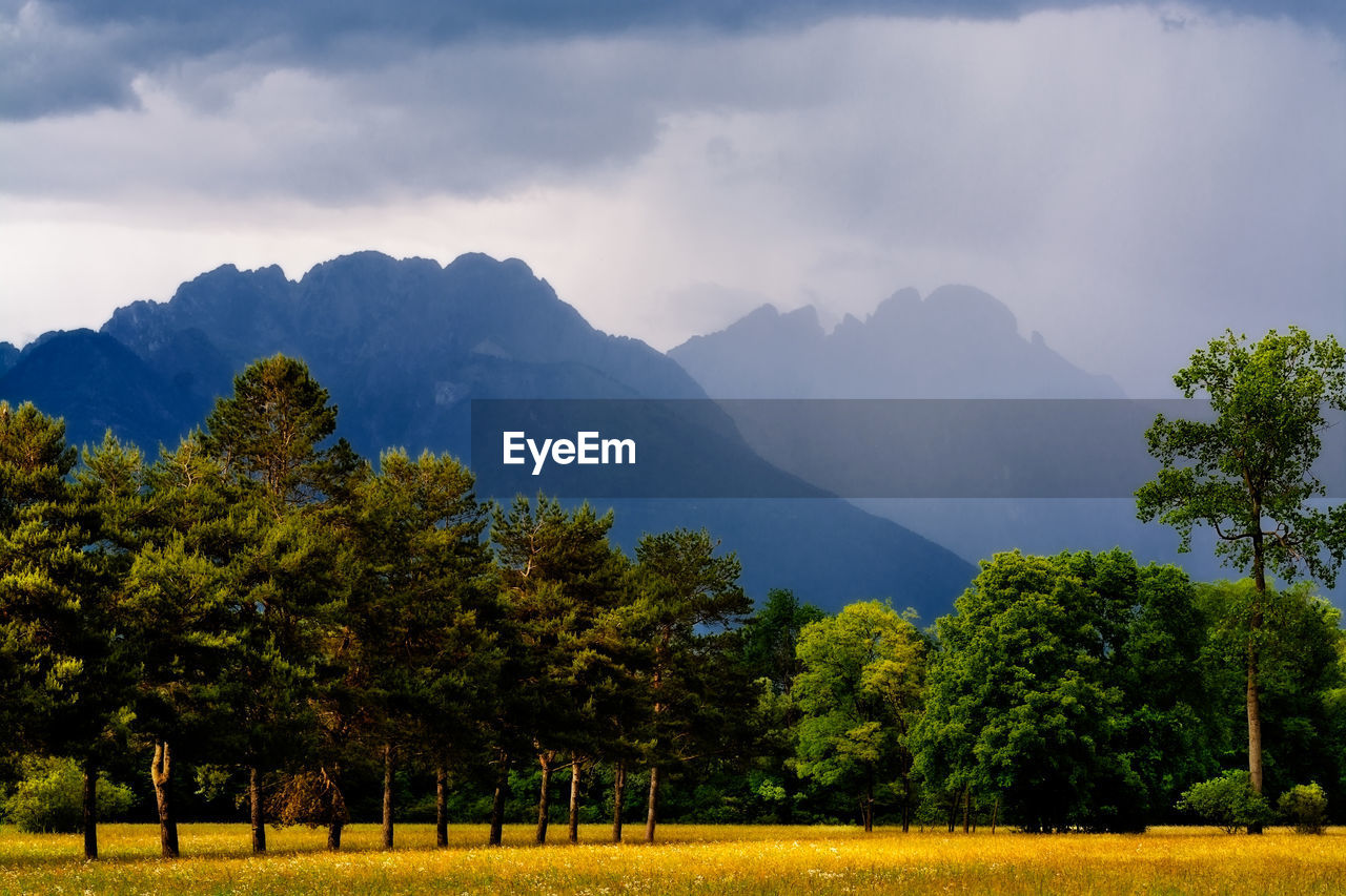 Scenic view of trees and mountains against sky