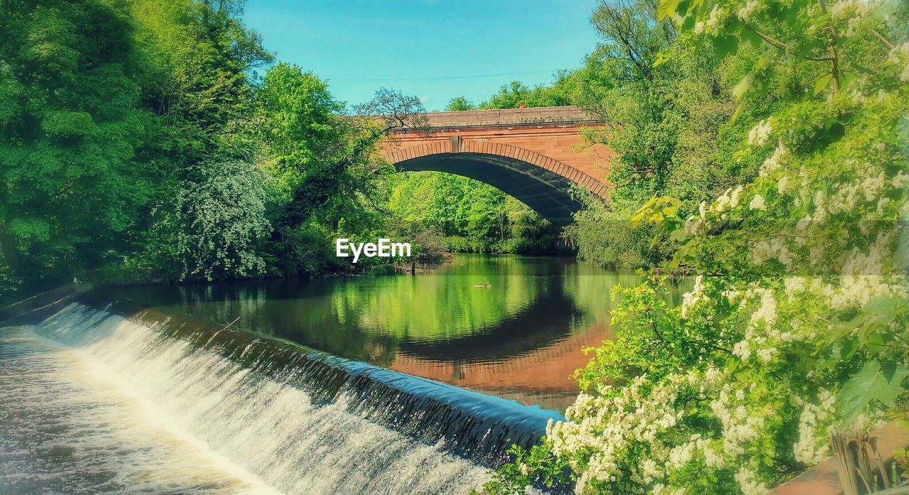 Arch bridge over river amidst trees