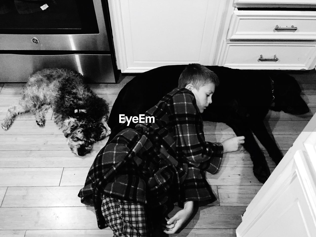 High angle view of boy sleeping with dogs on floor at home