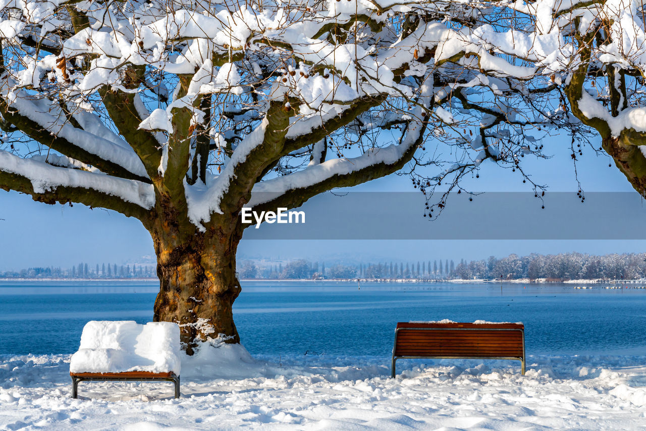 Fantastic snowy landscape on lake constance with blue sky