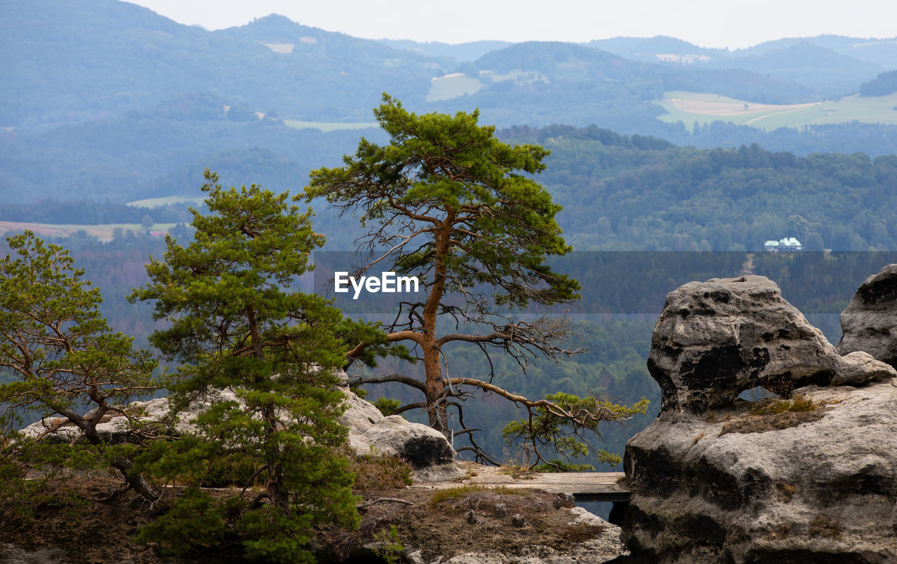  bohemian switzerland in the czech republic