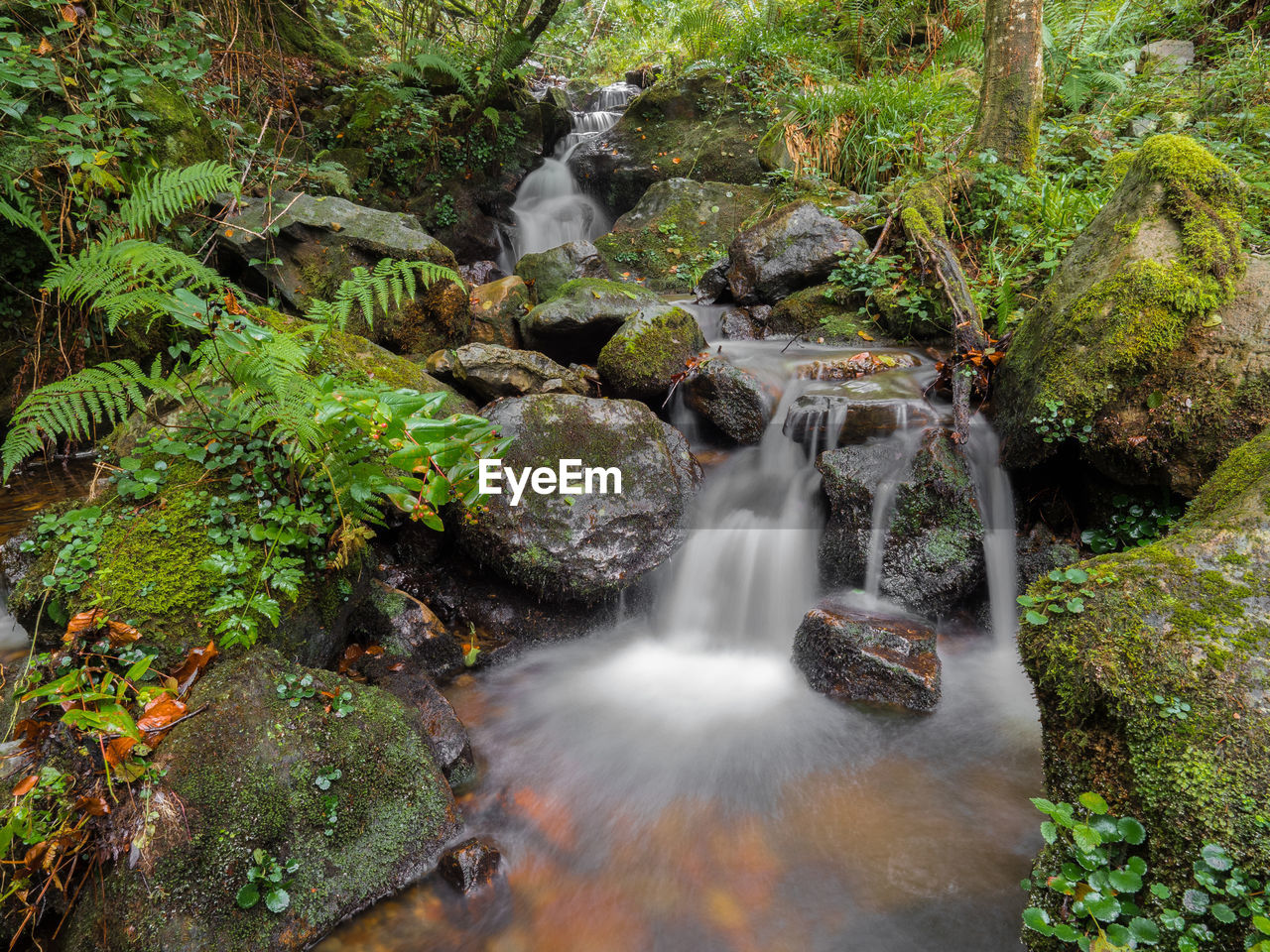 WATER FLOWING THROUGH ROCKS IN FOREST