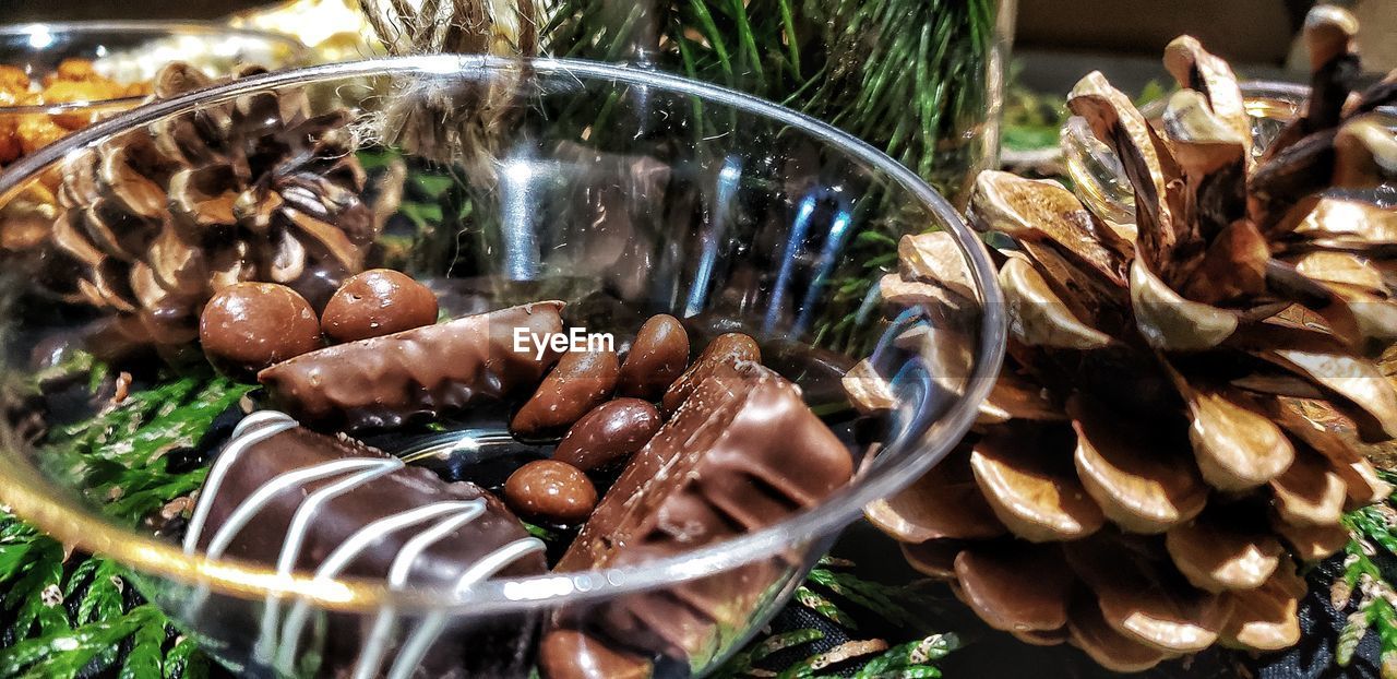 CLOSE-UP OF MUSHROOM IN WATER