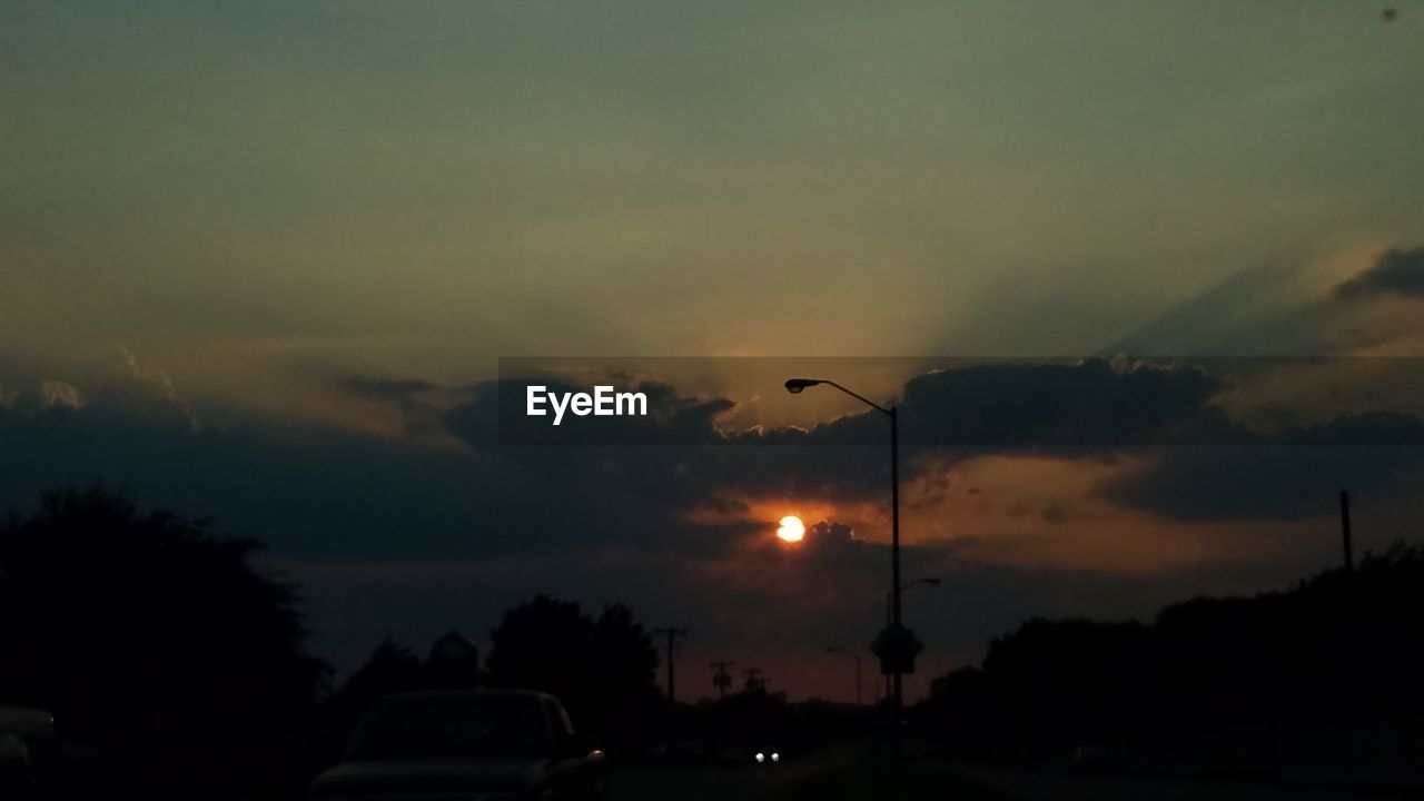 SILHOUETTE OF TREES AT SUNSET