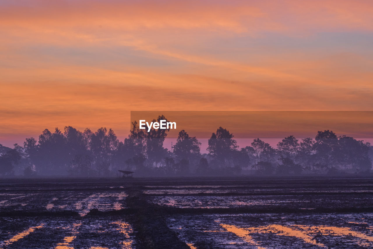 Scenic view of field against sky during sunset