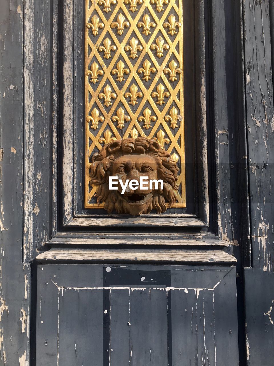 Close-up of cat on door
