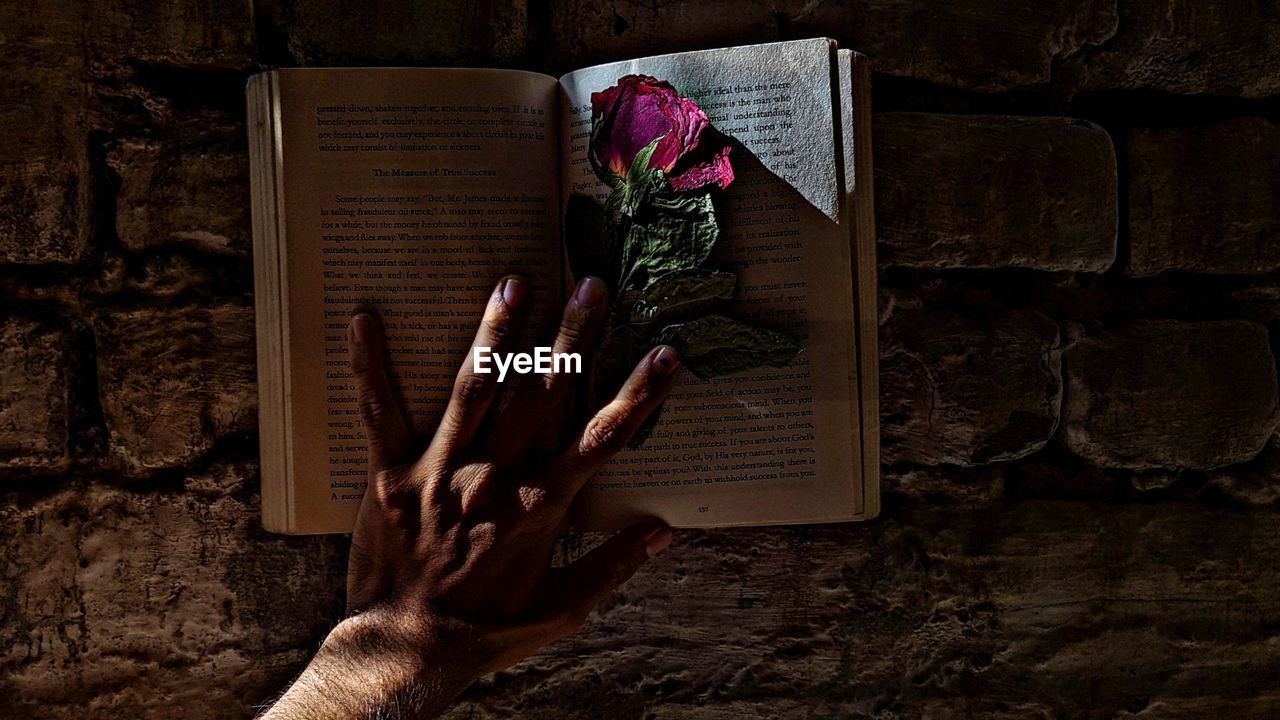 POTTED PLANT ON BOOK