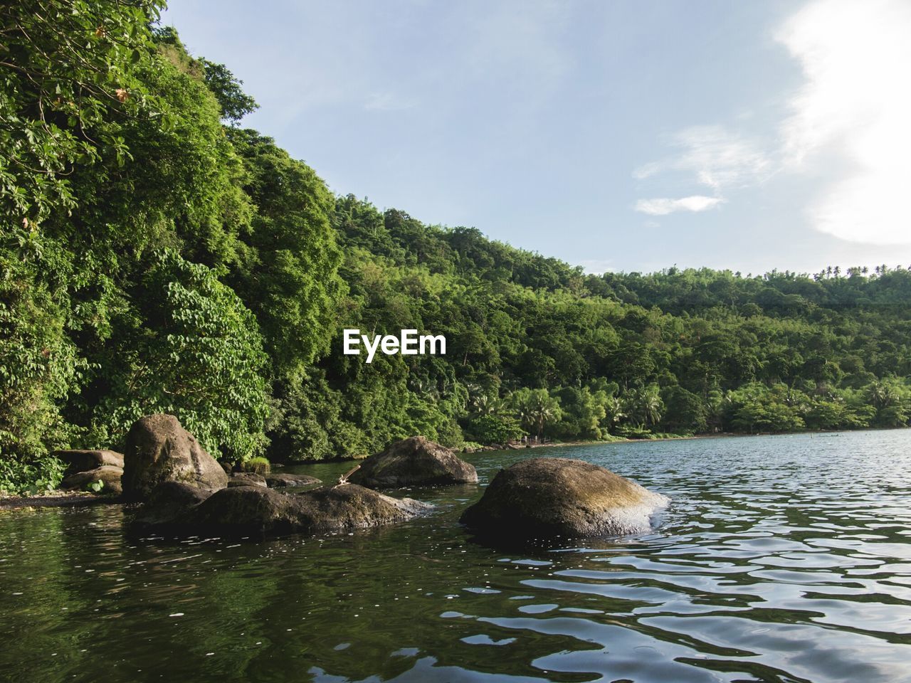 RIVER AMIDST TREES AGAINST SKY