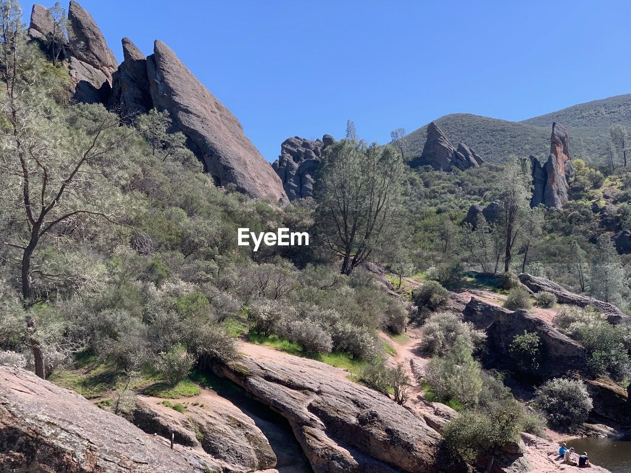mountain, tree, plant, scenics - nature, adventure, nature, wilderness, landscape, environment, beauty in nature, walking, sky, land, travel destinations, mountain range, rock, travel, clear sky, non-urban scene, valley, tranquility, no people, pine tree, tranquil scene, pinaceae, outdoors, tourism, geology, blue, forest, day, coniferous tree, backpacking, sunny, trail, ridge, rock formation, architecture, activity, sunlight, pine woodland, leisure activity, wadi