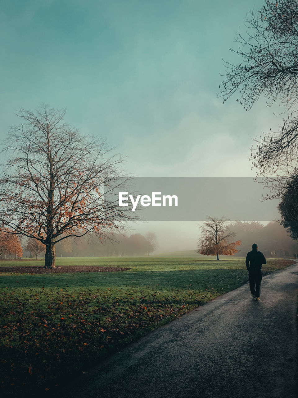 morning, tree, nature, plant, sky, sunlight, dawn, bare tree, horizon, one person, grass, rear view, road, walking, full length, mist, leaf, beauty in nature, sunrise, men, field, transportation, environment, landscape, autumn, cloud, outdoors, lifestyles, adult, land, the way forward, silhouette, tranquility, rural area, day, leisure activity, tranquil scene, scenics - nature, footpath, fog, rural scene, solitude