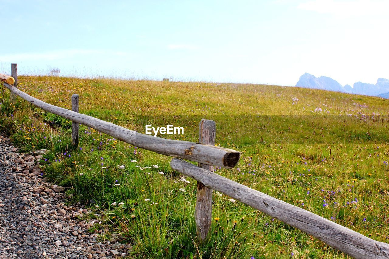 VIEW OF RURAL LANDSCAPE