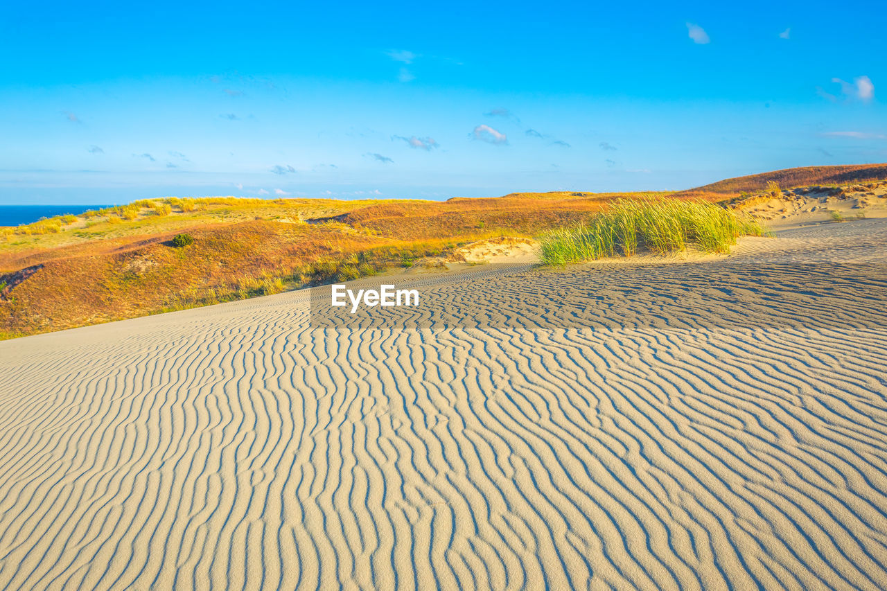 SCENIC VIEW OF LAND AGAINST SKY