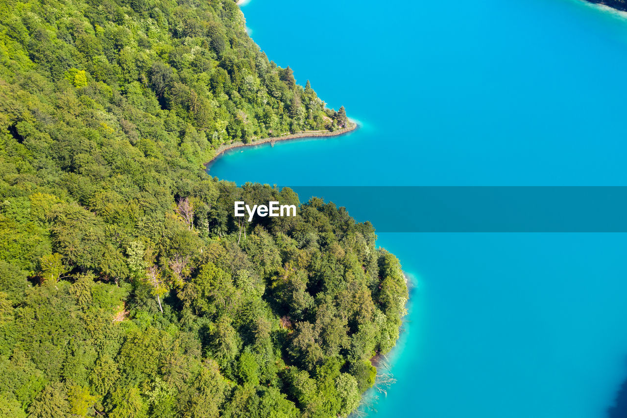 SCENIC VIEW OF TREES AGAINST SKY