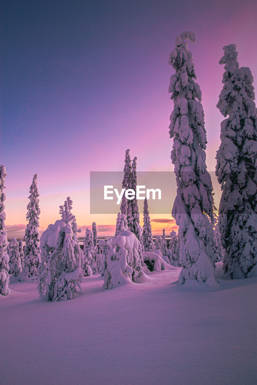 Snow covered landscape against sky during sunset