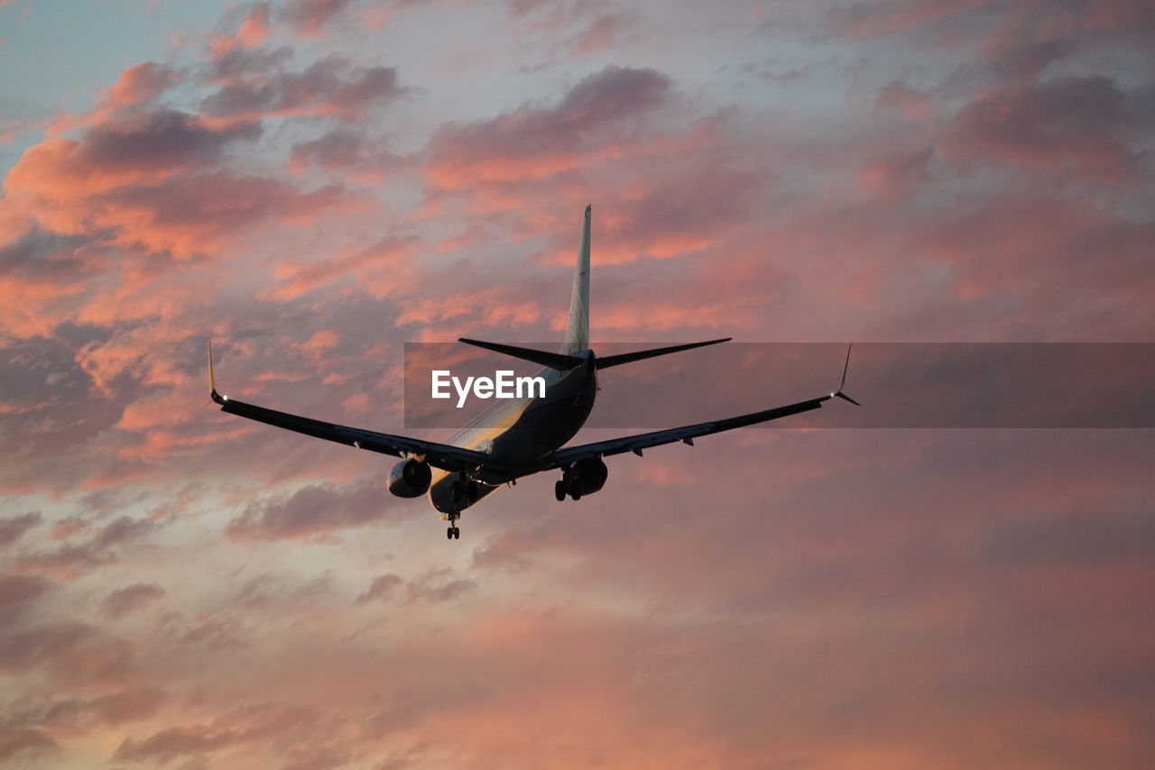 Plane landing in a rose colored sky 