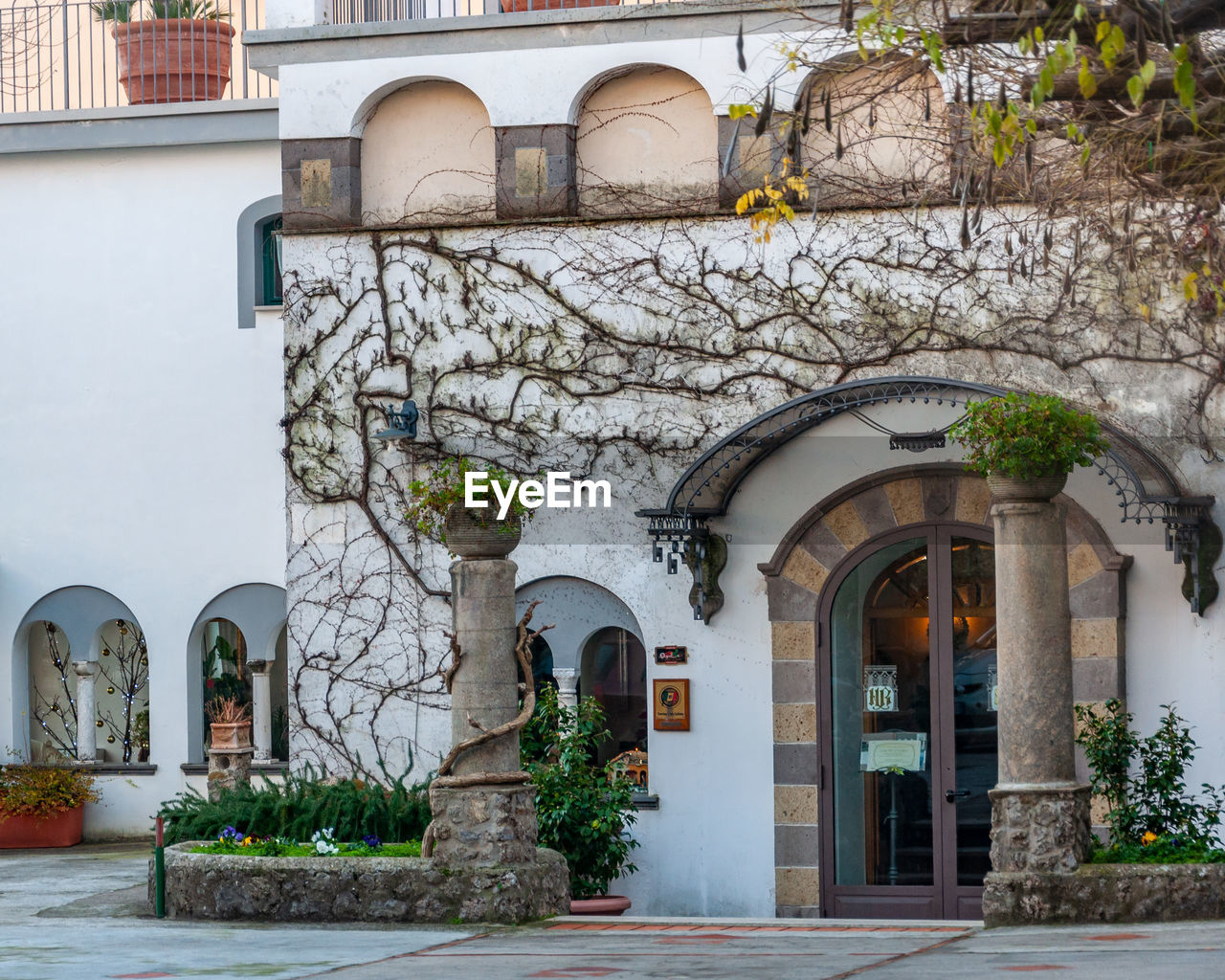 EXTERIOR OF BUILDING BY TREE