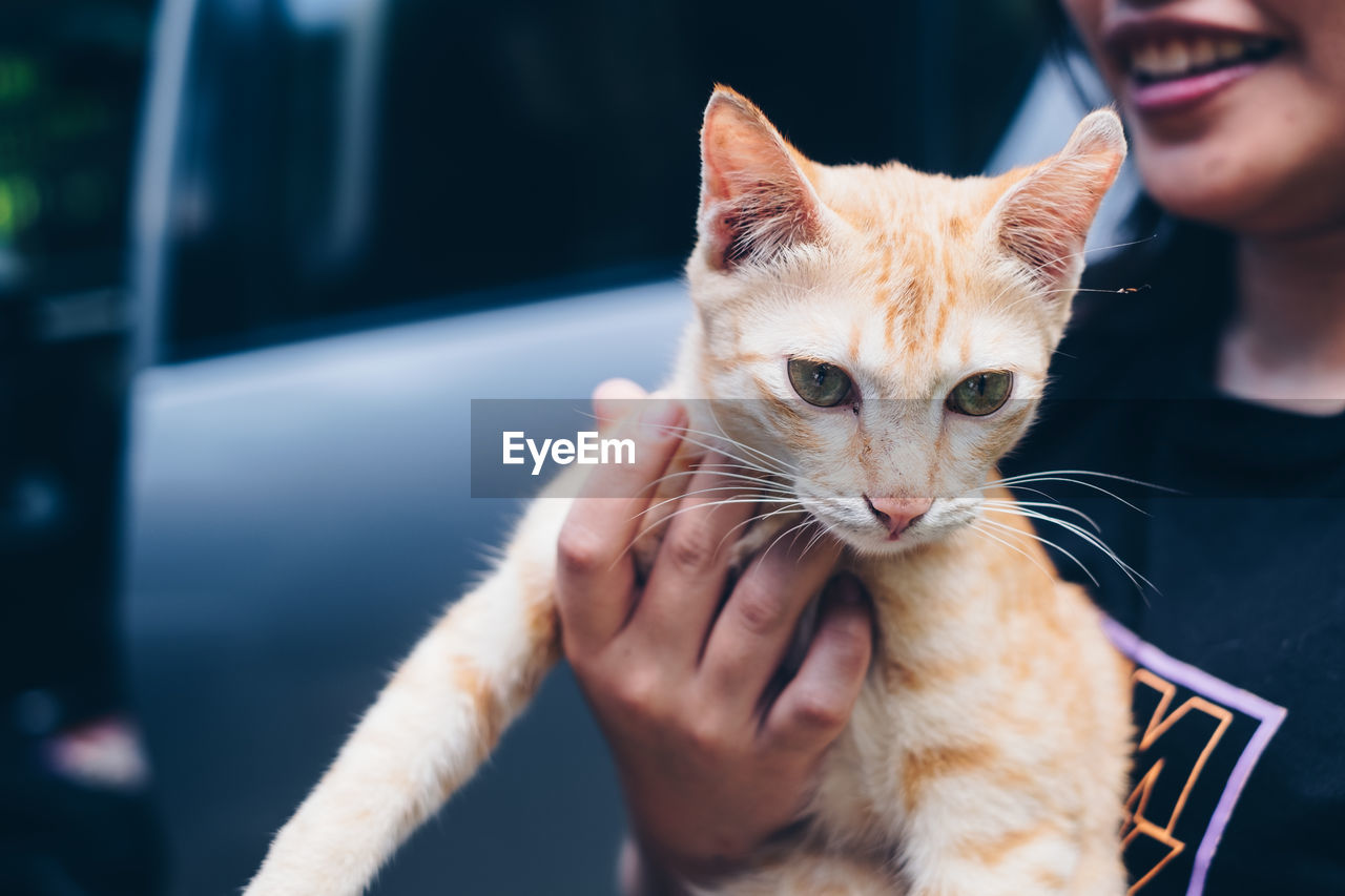 MIDSECTION OF CAT WITH HAND ON FINGER