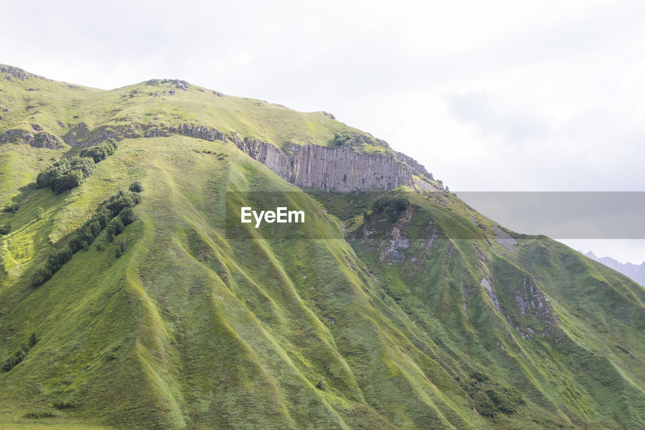 PANORAMIC VIEW OF GREEN LANDSCAPE AGAINST SKY