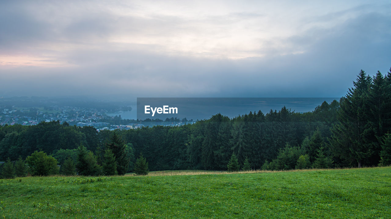 Scenic view of forest against sky