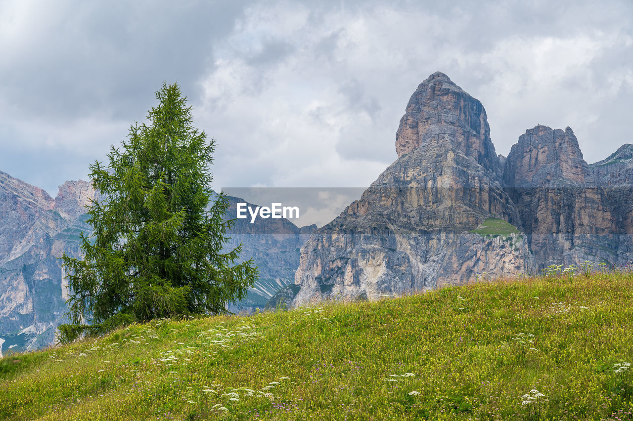 panoramic view of mountain