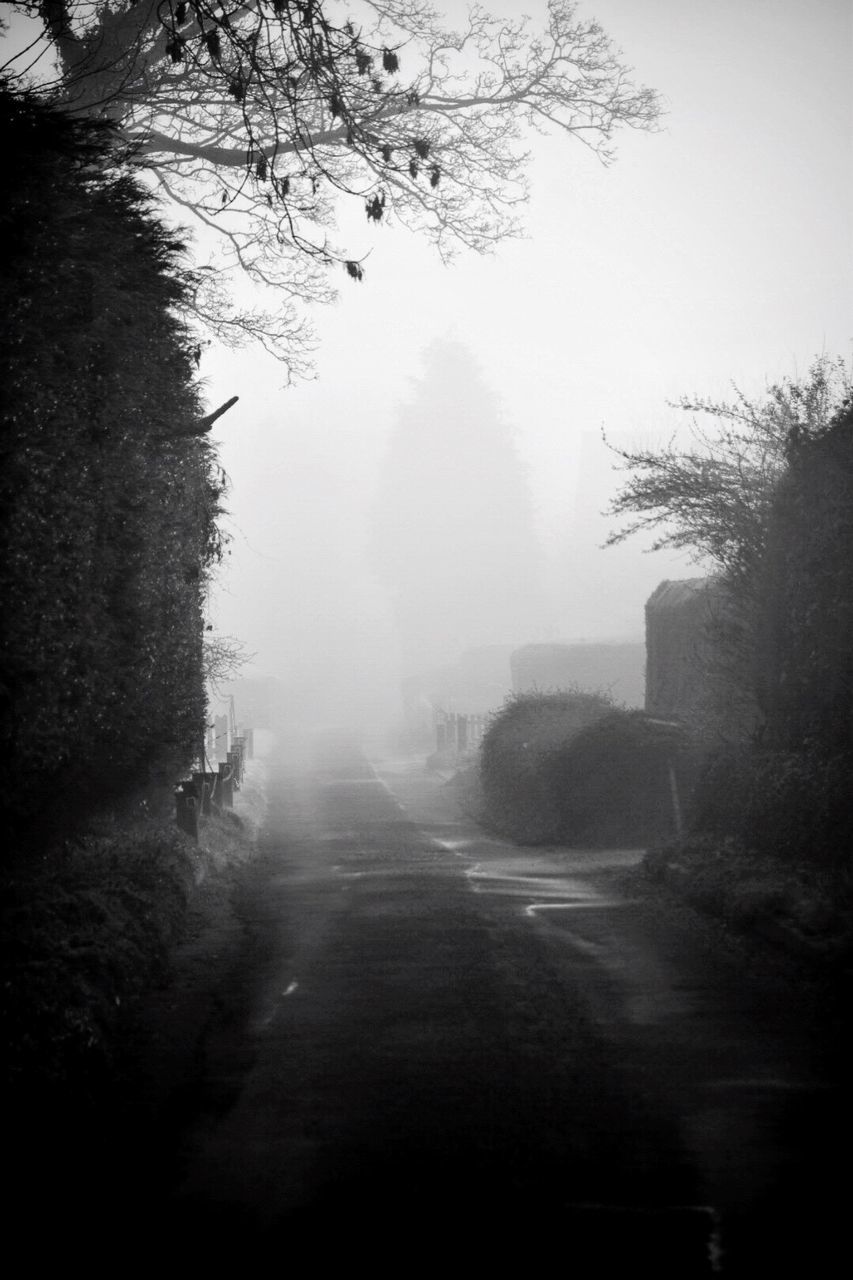 VIEW OF ROAD IN FOGGY WEATHER