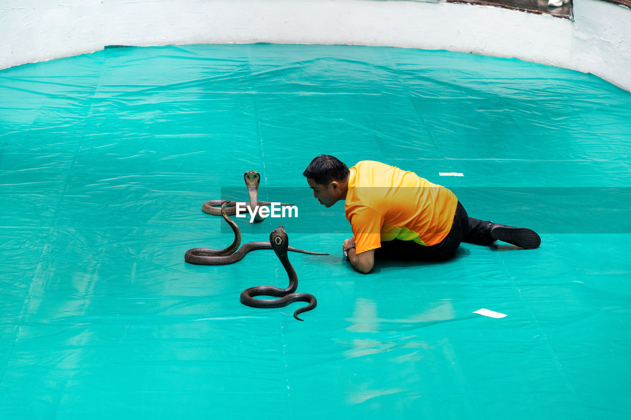 swimming pool, water, swimming, men, one person, high angle view, adult, nature, blue, full length, day, lifestyles, outdoors, turquoise colored, green, leisure activity, underwater, sea, relaxation