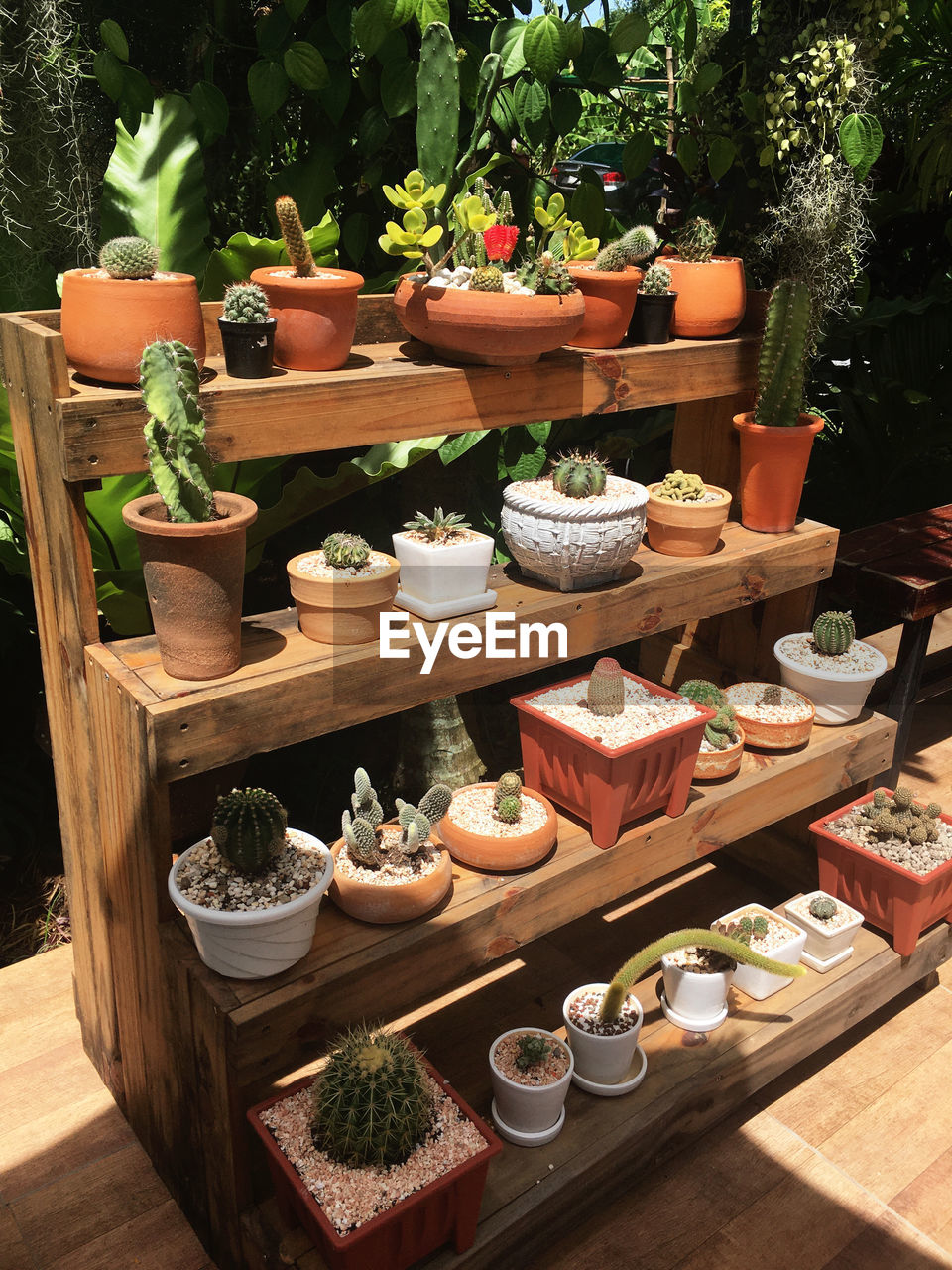 HIGH ANGLE VIEW OF POTTED PLANTS ON TABLE AT CAFE