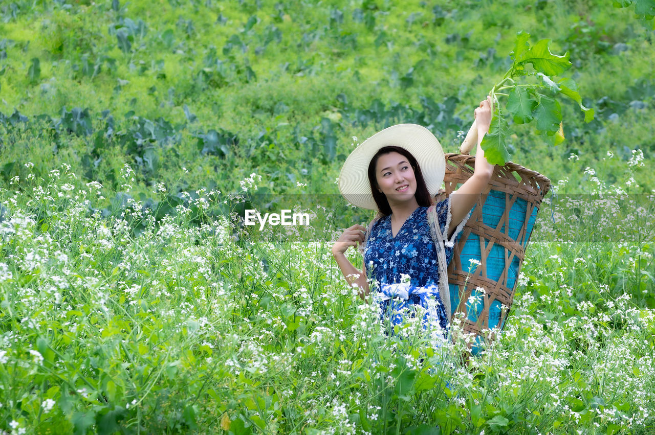 A young farmer is happily picking organic radish fresh in garden. organic farming.