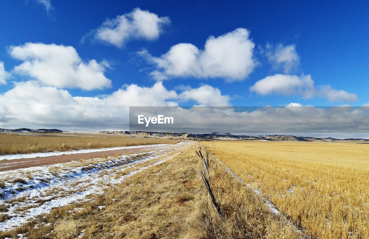 Scenic view of agricultural field against sky