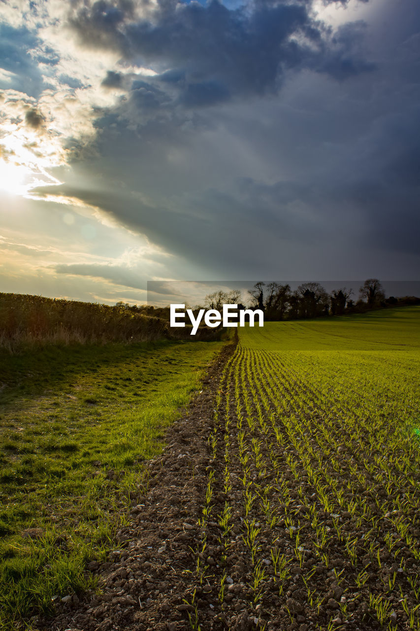 Surface level of countryside landscape against sky