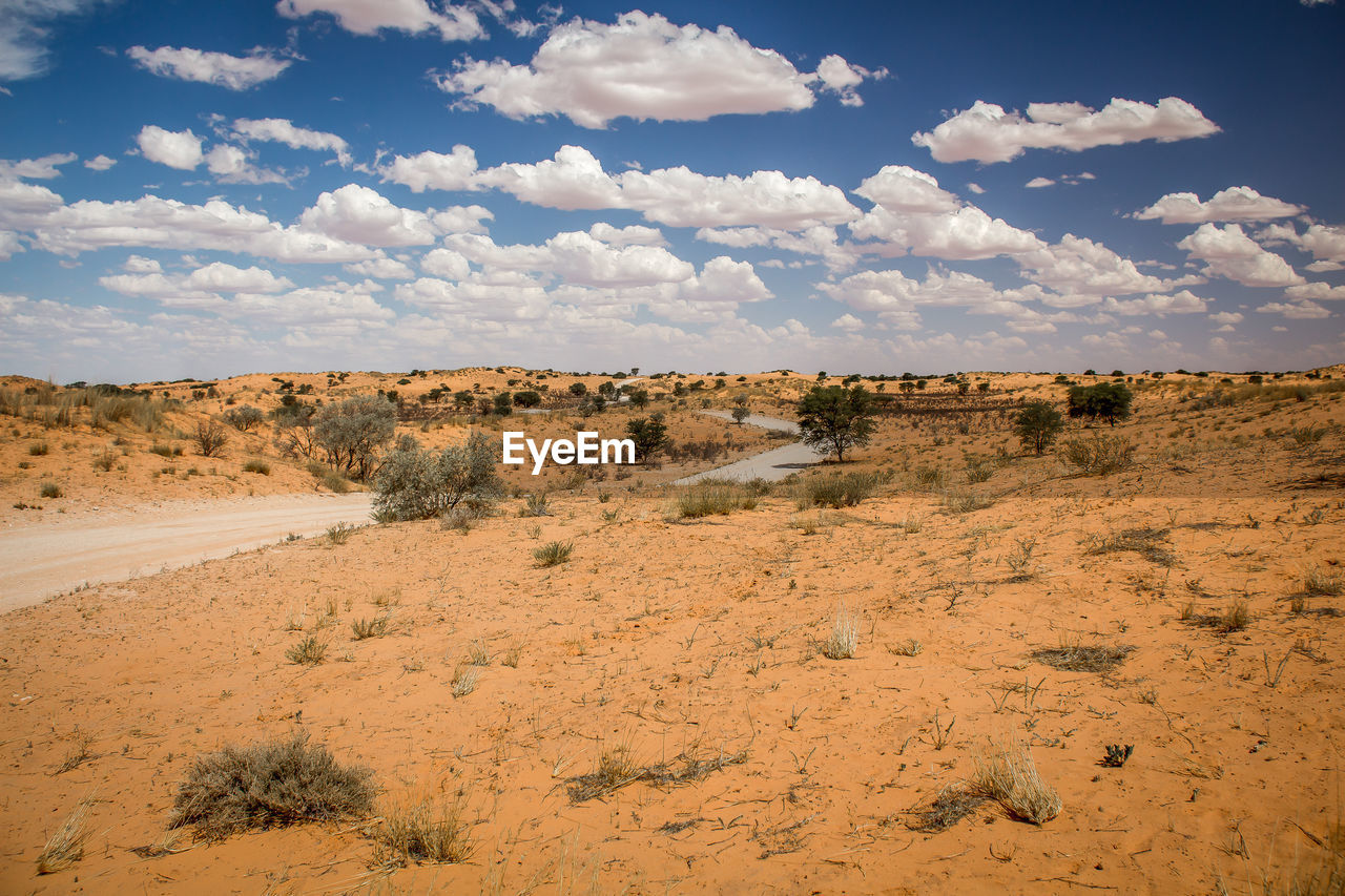 Scenic view of desert against cloudy sky