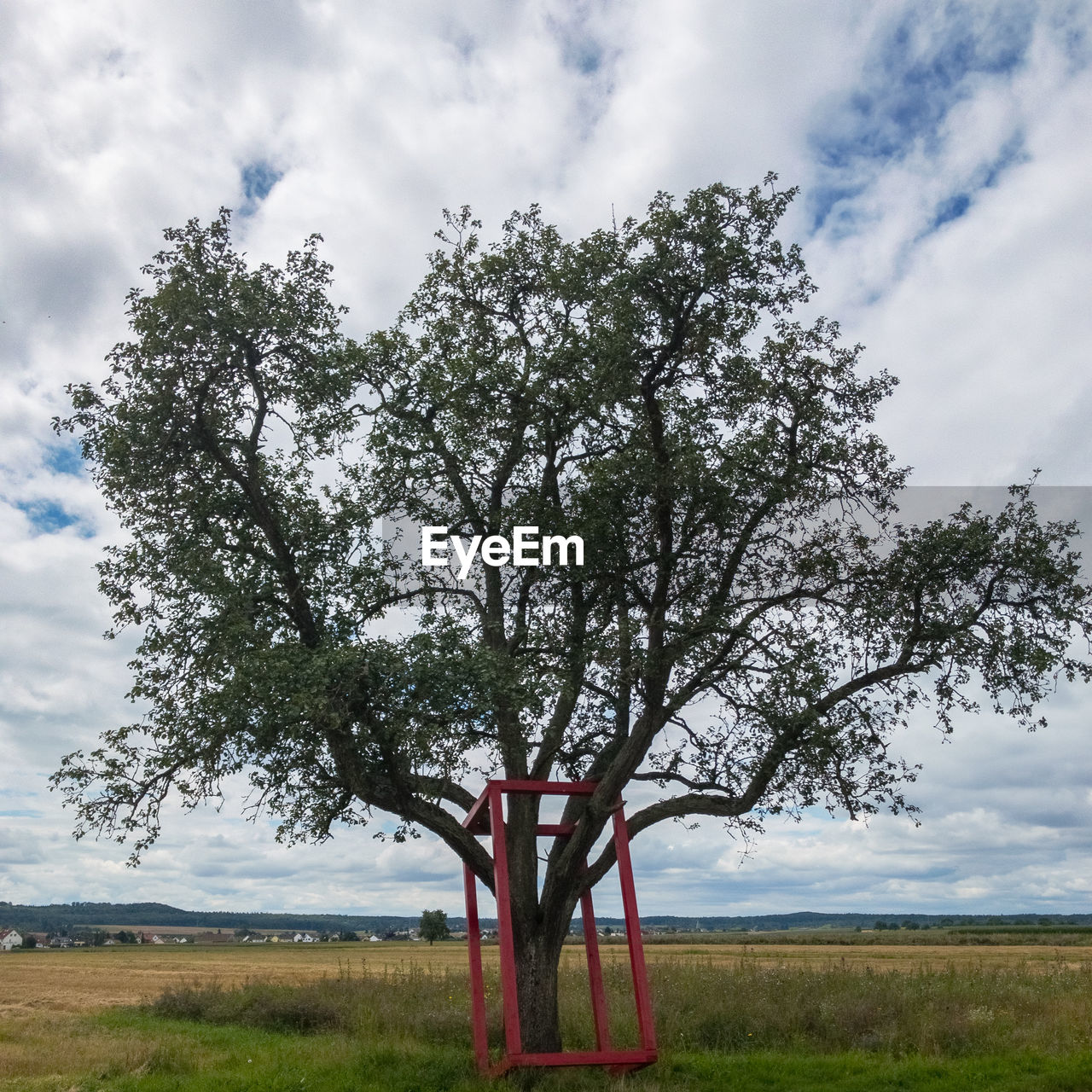 TREE IN FIELD AGAINST SKY