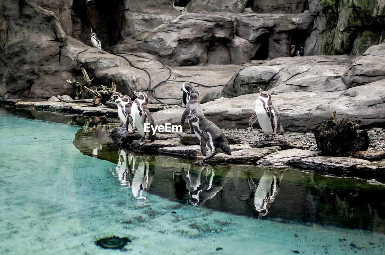 water, nature, rock, beauty in nature, no people, day, land, tranquility, rock formation, sea, scenics - nature, outdoors, reflection, waterfront, non-urban scene, tree, tranquil scene, environment, sunlight