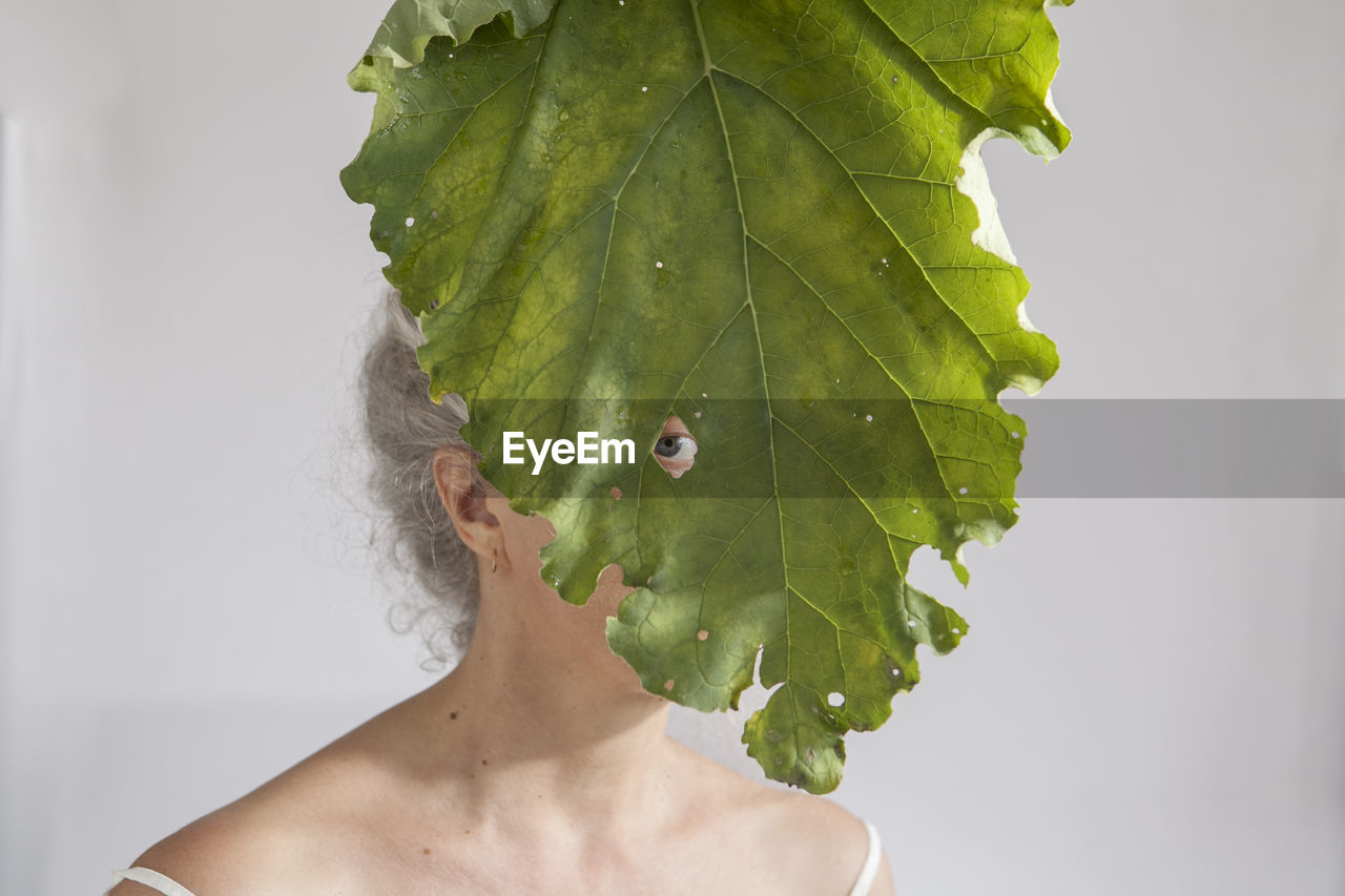 Close-up of leaf with woman in background