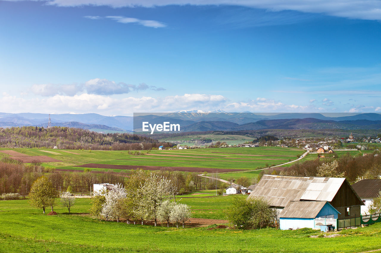 SCENIC VIEW OF AGRICULTURAL LANDSCAPE